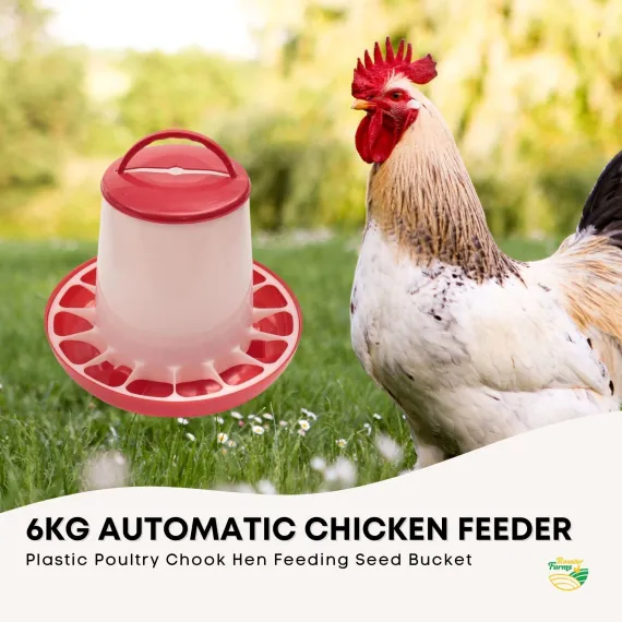 6Kg Automatic Chicken Feeder - Plastic Poultry Chook Hen Feeding Seed Bucket image: 2