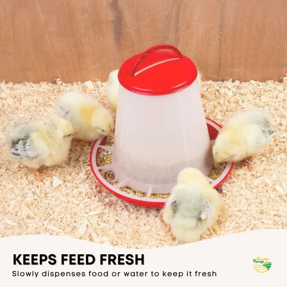 6Kg Automatic Chicken Feeder - Plastic Poultry Chook Hen Feeding Seed Bucket image: 6