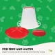 6Kg Automatic Chicken Feeder - Plastic Poultry Chook Hen Feeding Seed Bucket image: 3