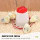 6Kg Automatic Chicken Feeder - Plastic Poultry Chook Hen Feeding Seed Bucket image: 6