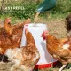 6Kg Automatic Chicken Feeder - Plastic Poultry Chook Hen Feeding Seed Bucket image: 7
